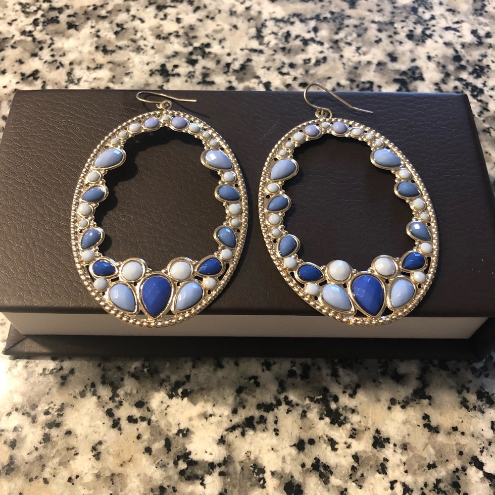 Gorgeous Drop Earrings